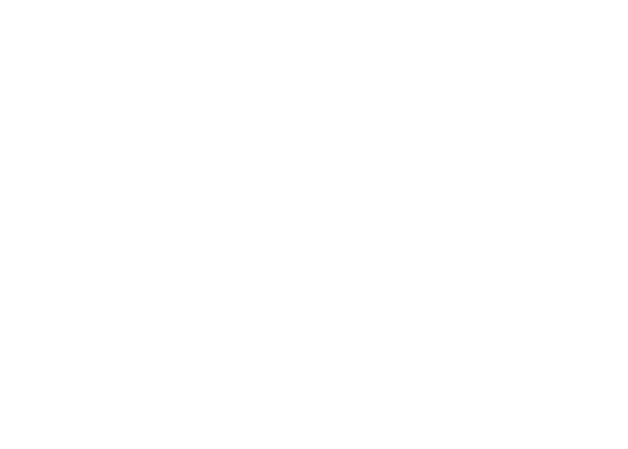 logo_mirna